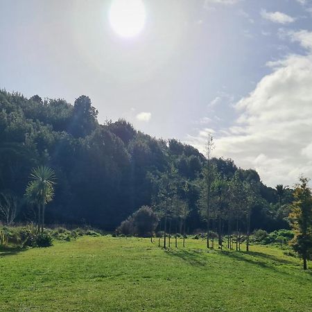 Tiny Home @ Matai Huka Paraparaumu Kültér fotó