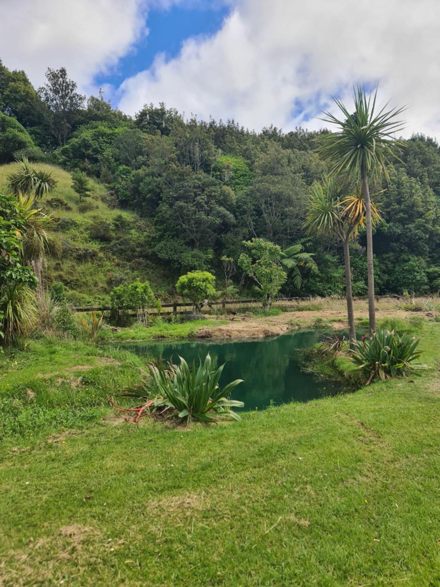 Tiny Home @ Matai Huka Paraparaumu Kültér fotó