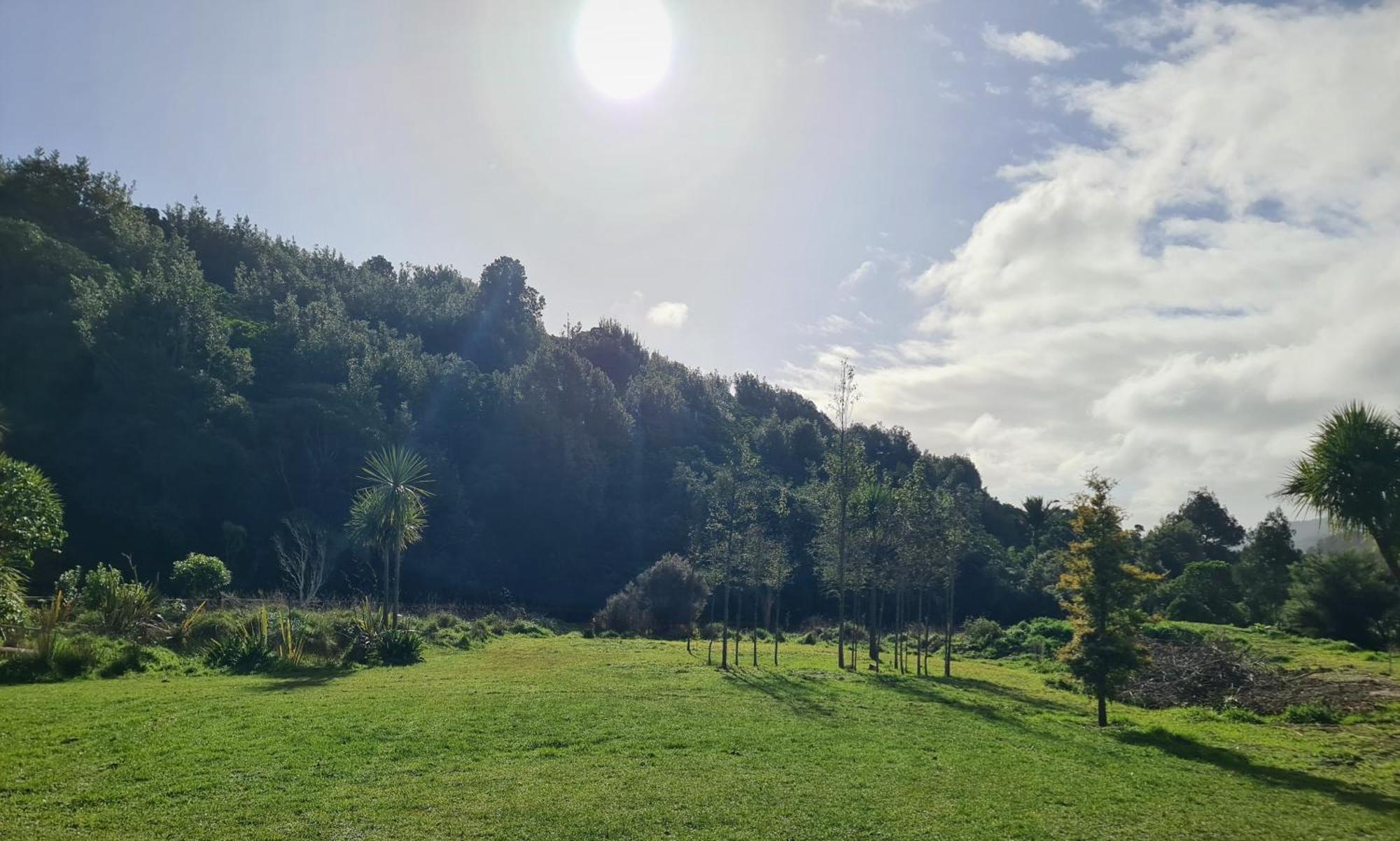 Tiny Home @ Matai Huka Paraparaumu Kültér fotó